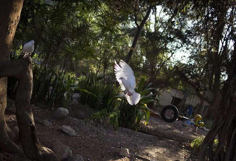 Hotel Wasipunko Nasca