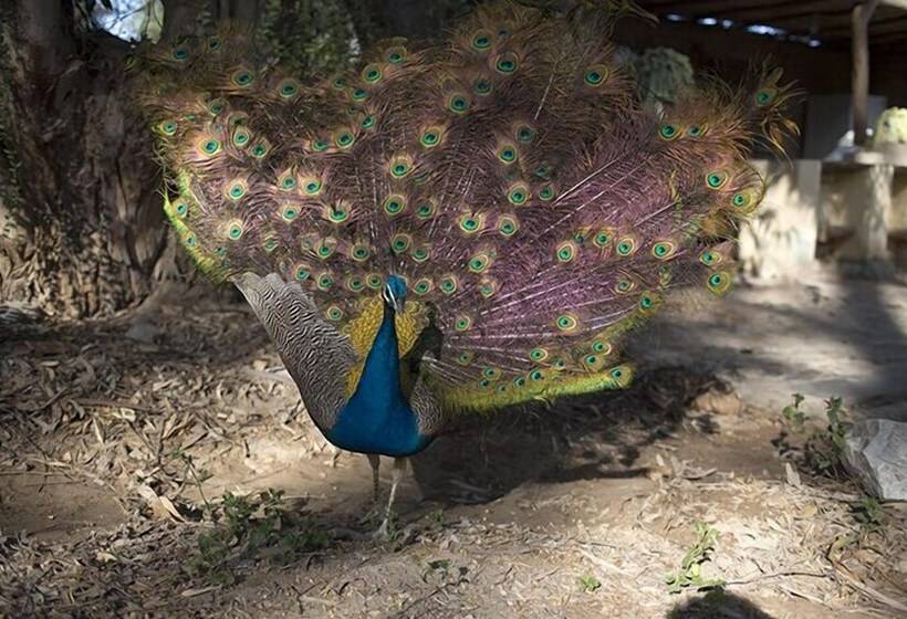 Hotel Wasipunko Nasca