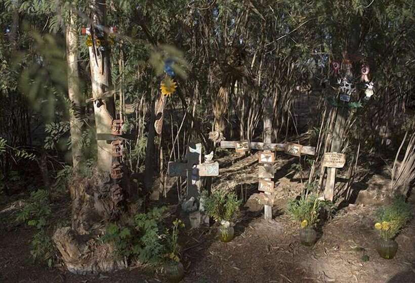 Hotel Wasipunko Nasca