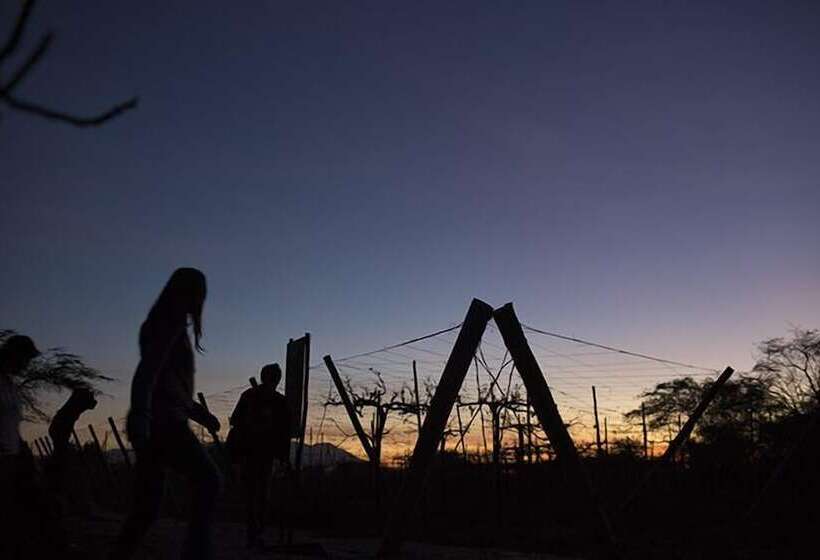 Hotel Wasipunko Nasca