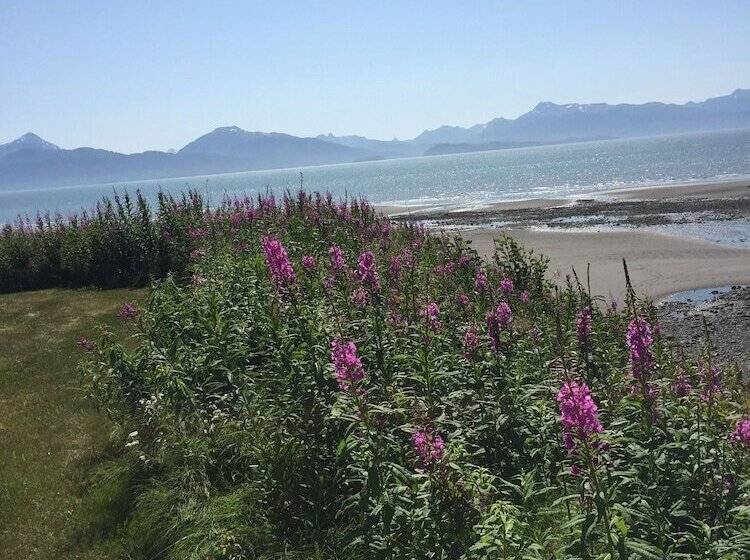 Otel White House Inn On The Waterfront