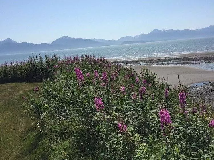 Hotelli White House Inn On The Waterfront