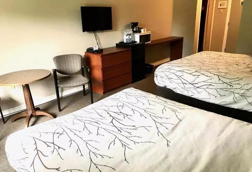 Hush Lodge And Cottages