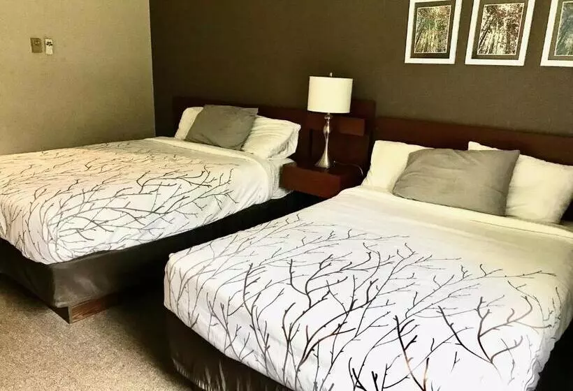 Hush Lodge And Cottages