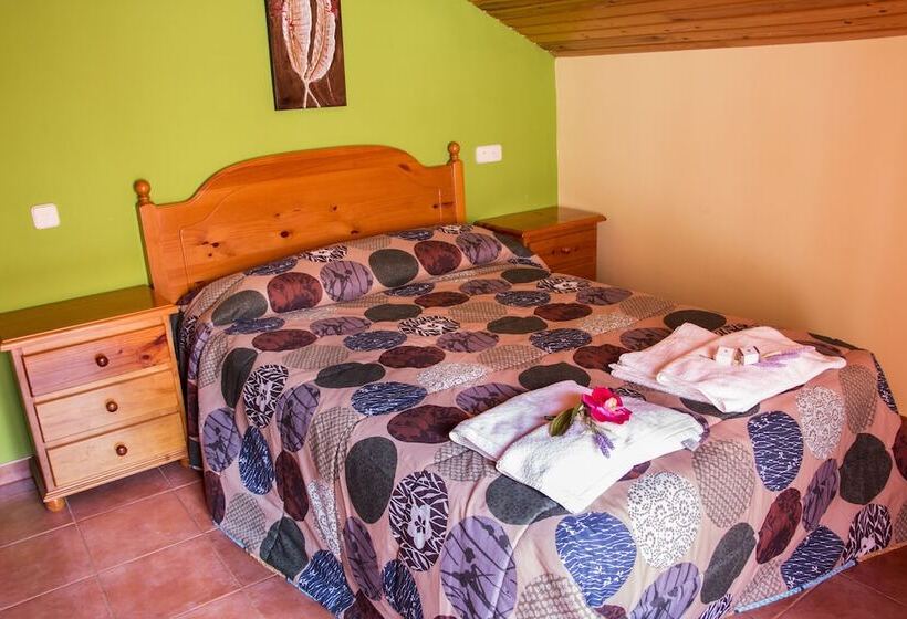 Пансион Apartamentos Casa Rubén