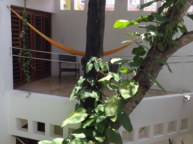 پانسیون Mi Casa En Cozumel