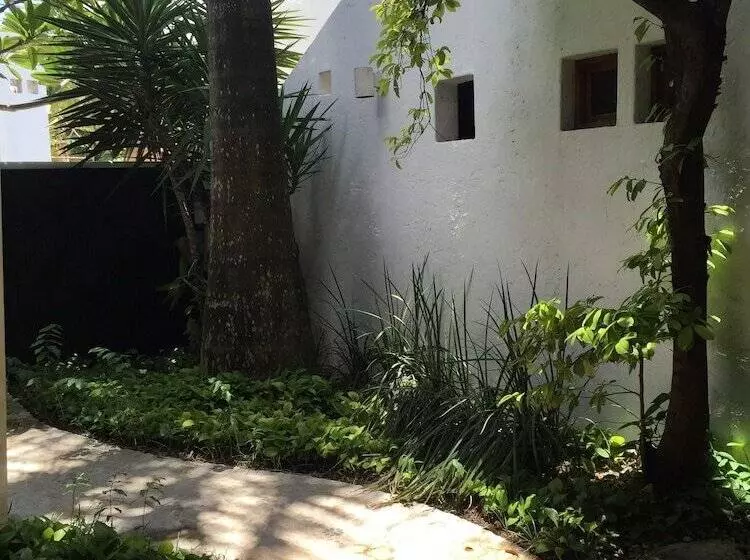 Majatalo Mi Casa En Cozumel