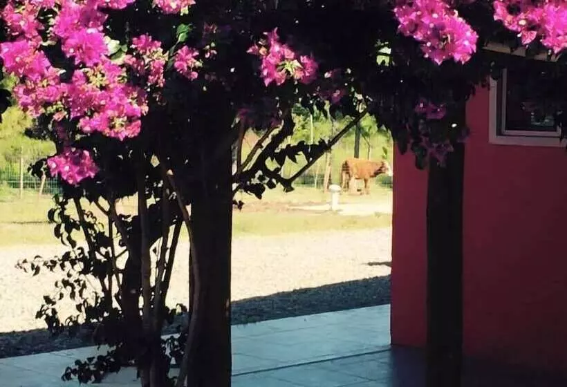 Majatalo Casa De Campo Lo De Fatsia