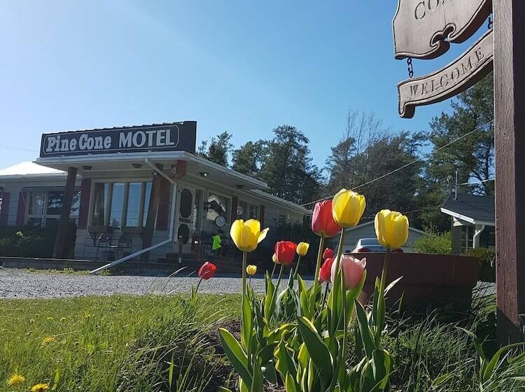 Pine Cone Motel