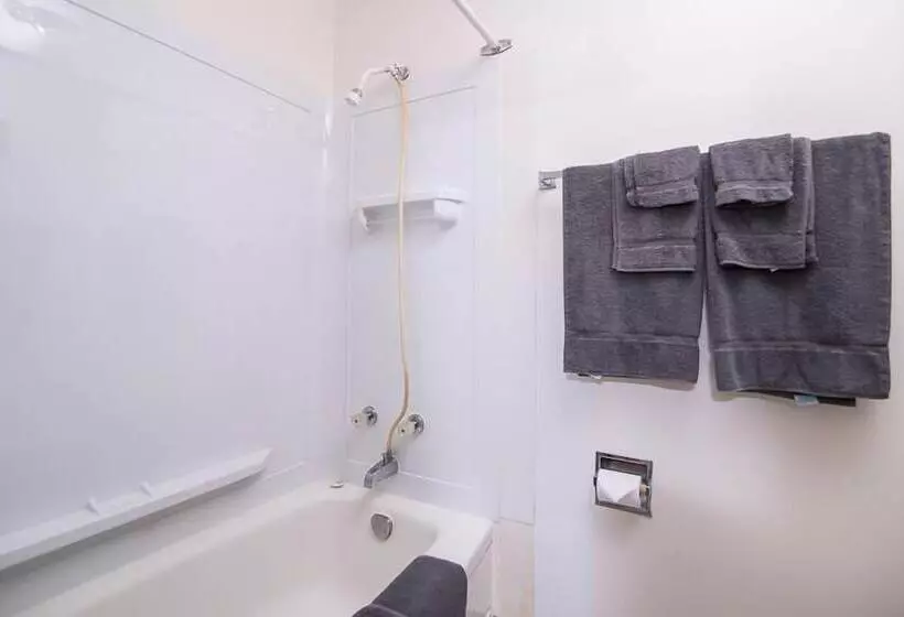 Wild Goose Motel And Campground