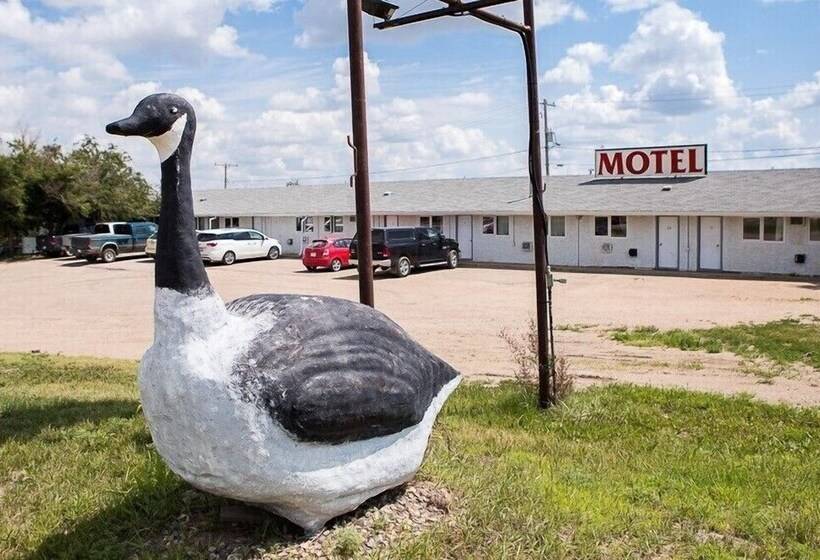 Wild Goose Motel And Campground