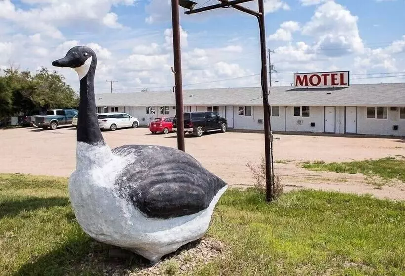 Wild Goose Motel And Campground