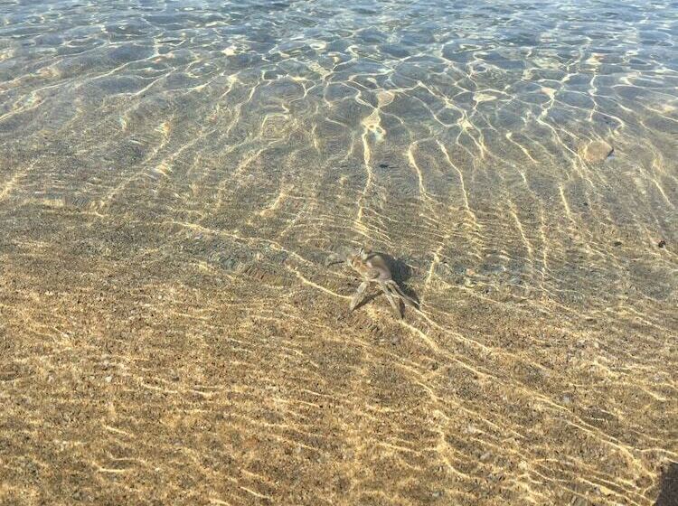 B&b Resort Torrefano