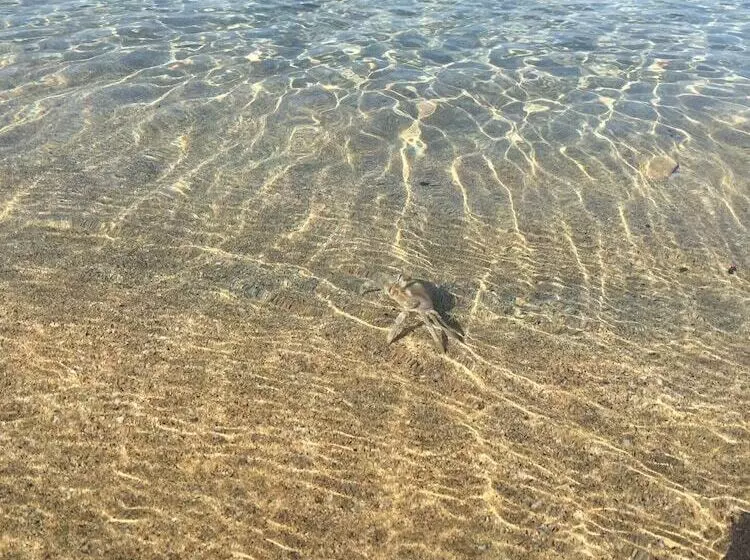 B&b Resort Torrefano