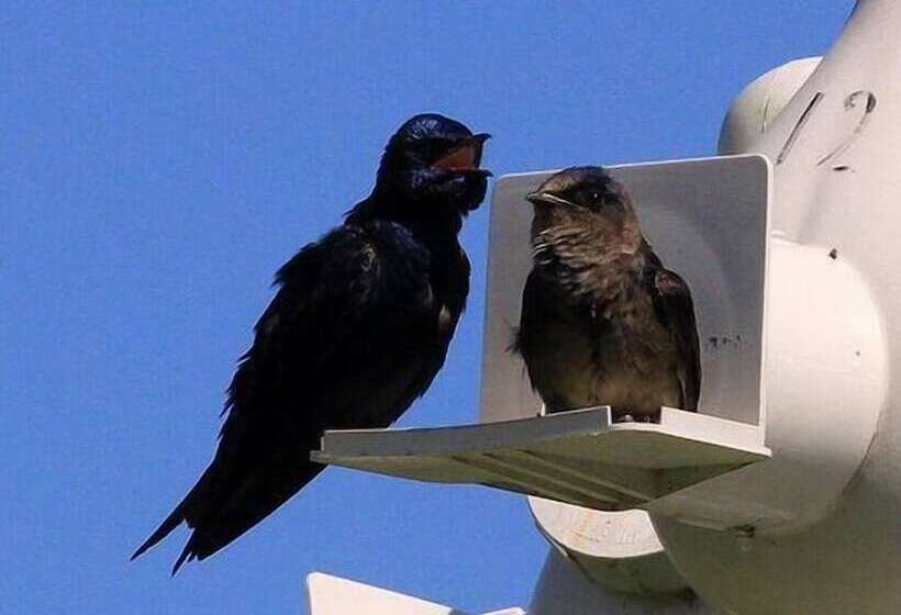 Duck Pond Bed & Breakfast Cottage