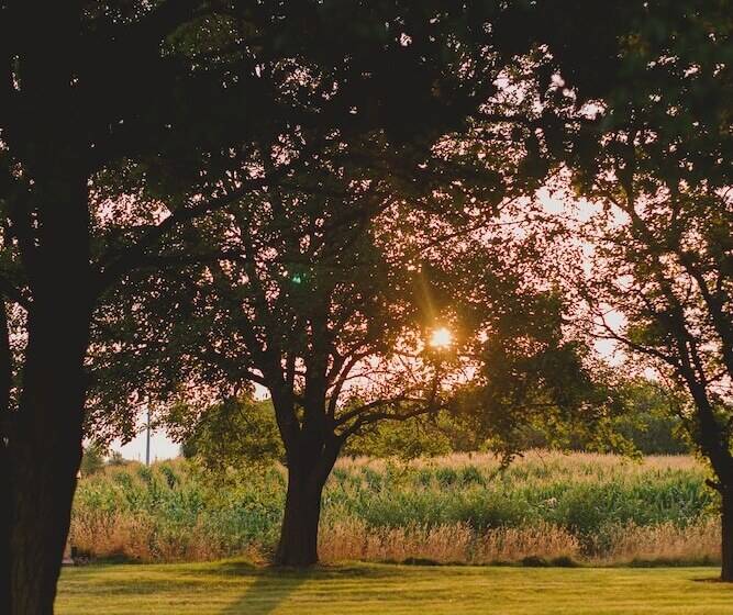 Duck Pond Bed & Breakfast Cottage