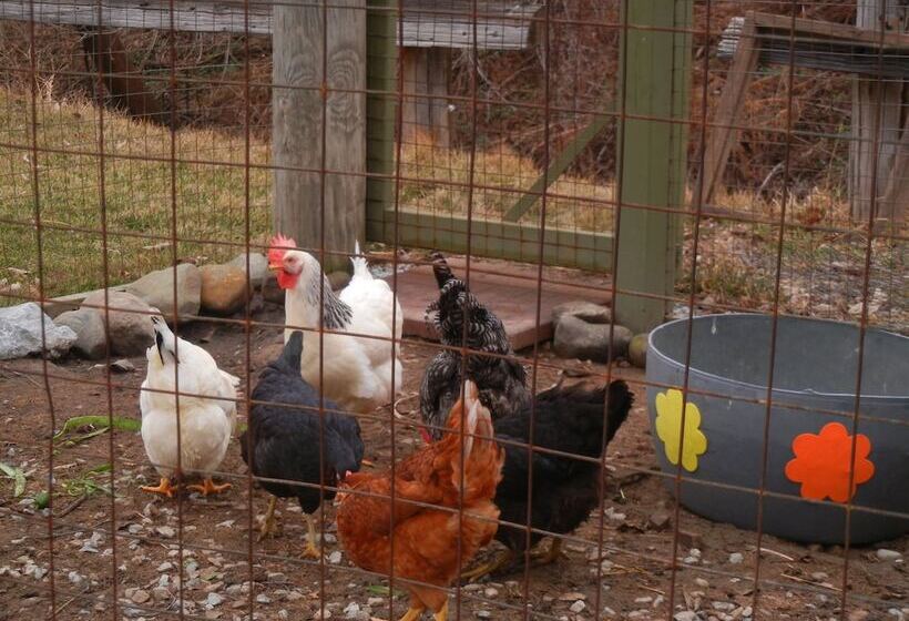 Duck Pond Bed & Breakfast Cottage