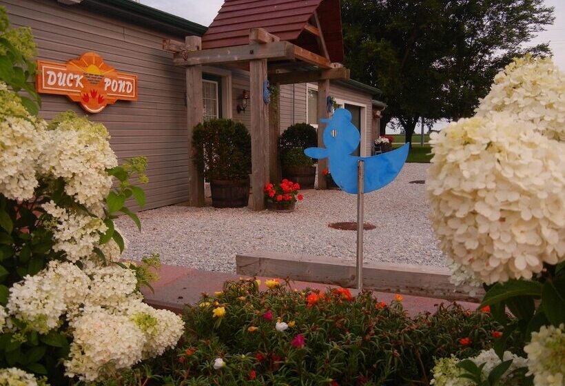 Duck Pond Bed & Breakfast Cottage