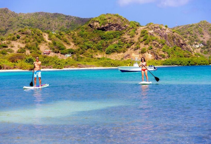 هتل David S Beach