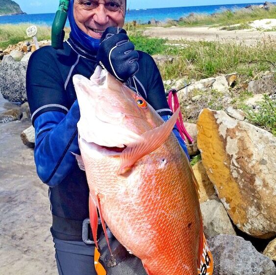 هتل David S Beach