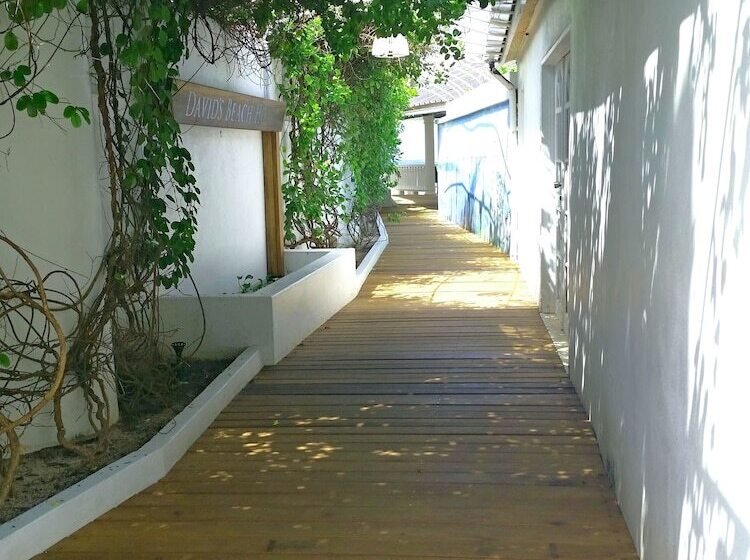 هتل David S Beach