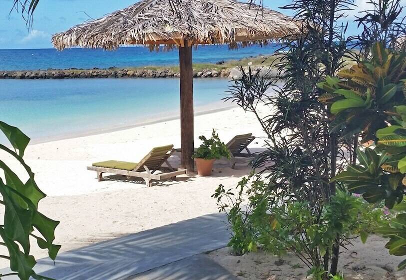 هتل David S Beach