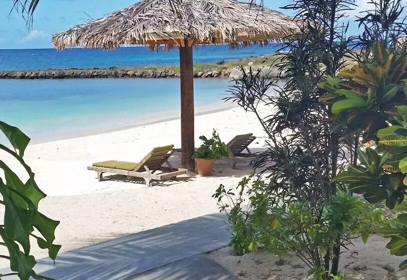هتل David S Beach