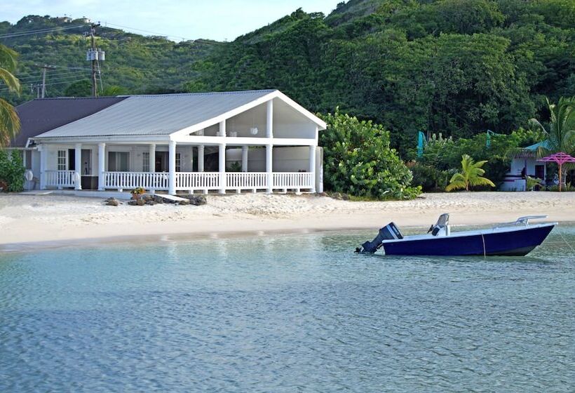 هتل David S Beach