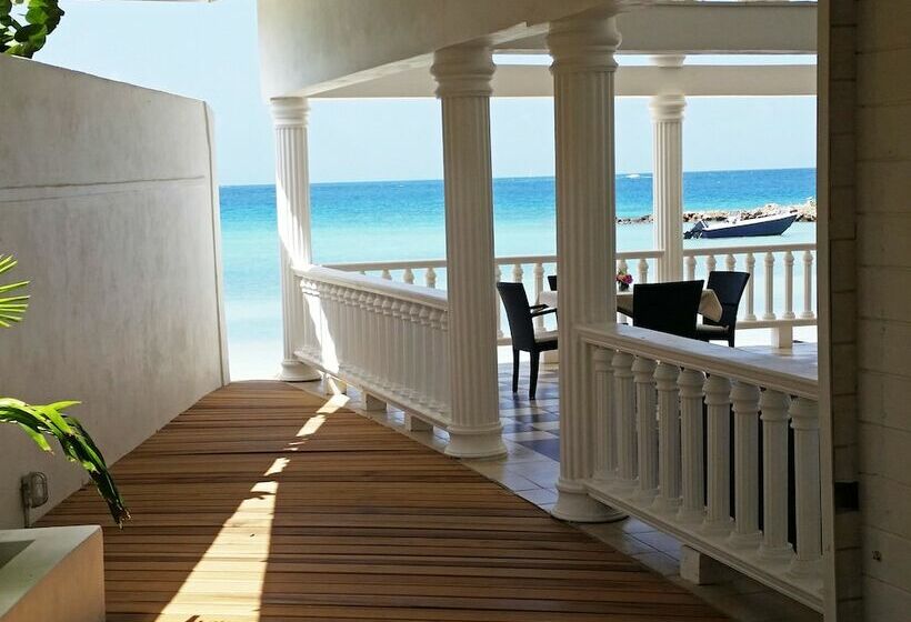 هتل David S Beach