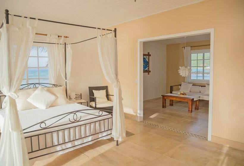 هتل David S Beach