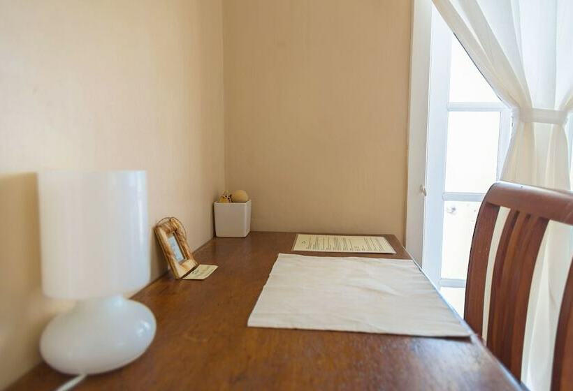 هتل David S Beach