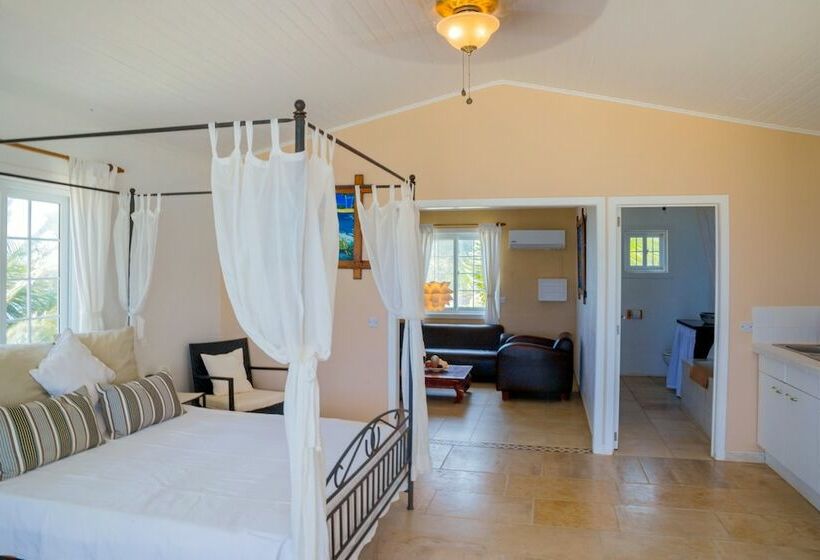 هتل David S Beach