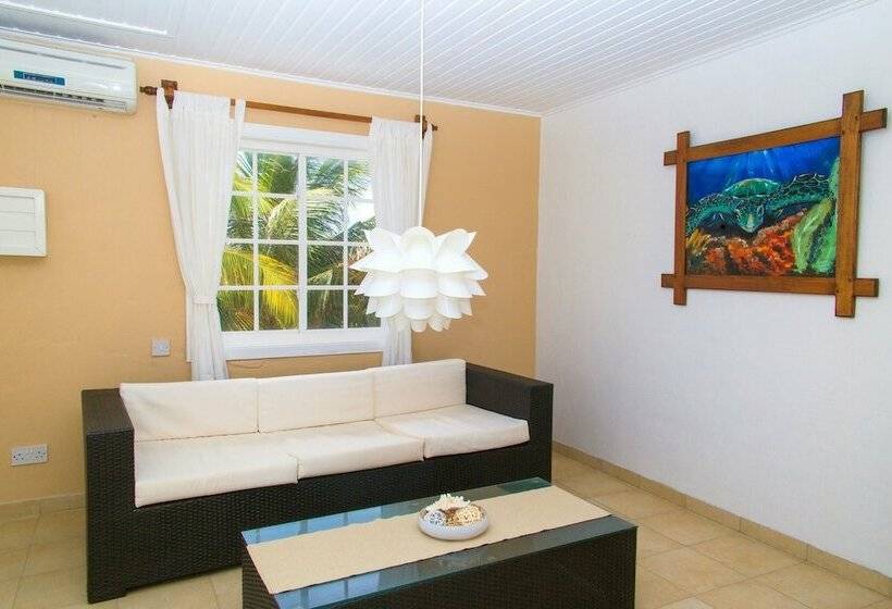 هتل David S Beach