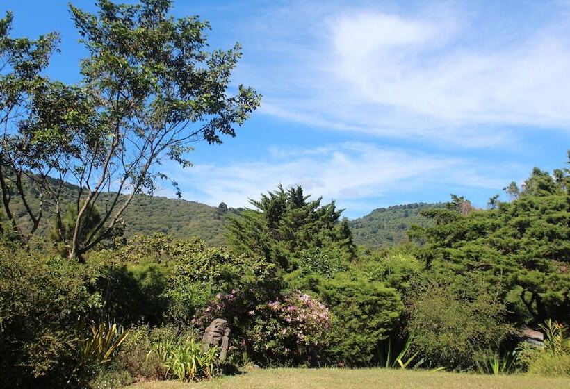 Las Cabañas De Apaneca