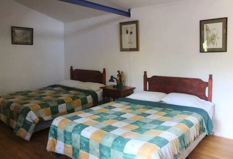 Las Cabañas De Apaneca