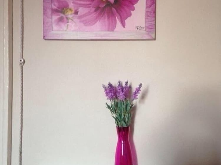 بنسيون Girasole