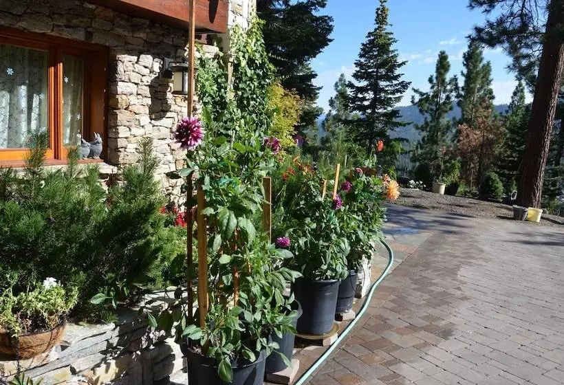 Where Eagles Fly Bed & Breakfast