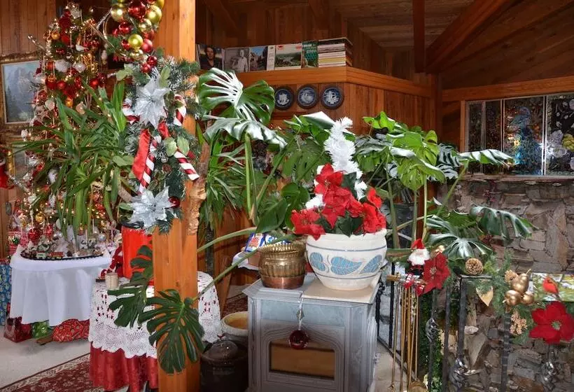 Where Eagles Fly Bed & Breakfast