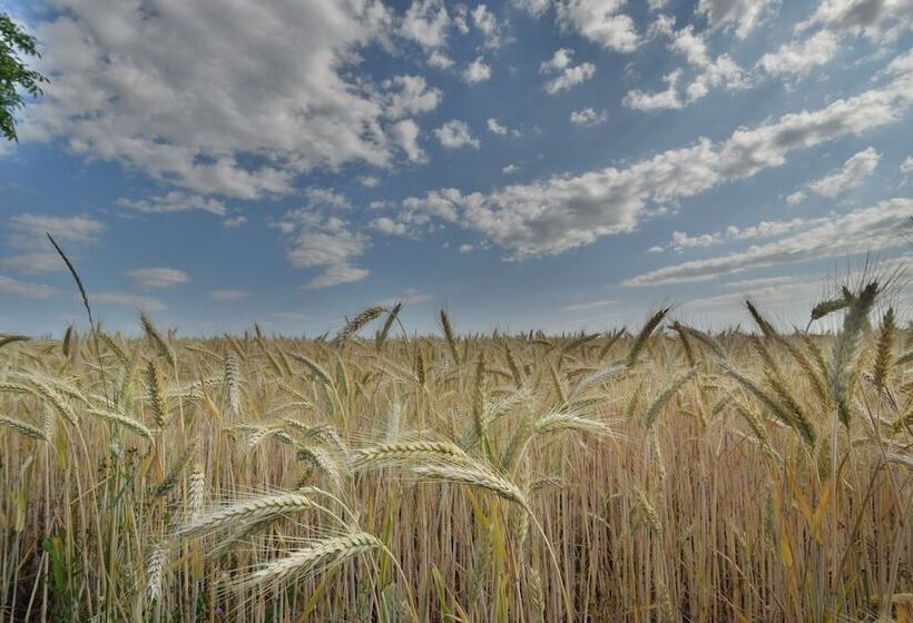 Alte Mühle Hotel & Restaurant