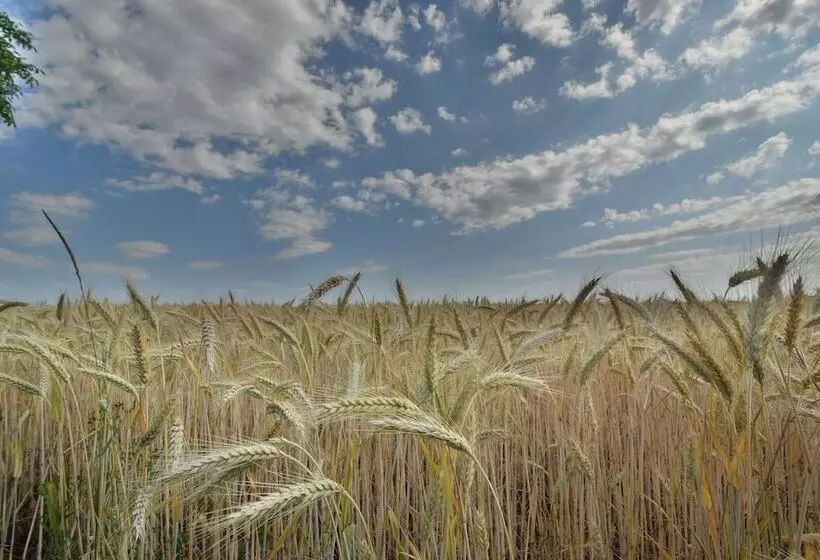Alte Mühle Hotel & Restaurant