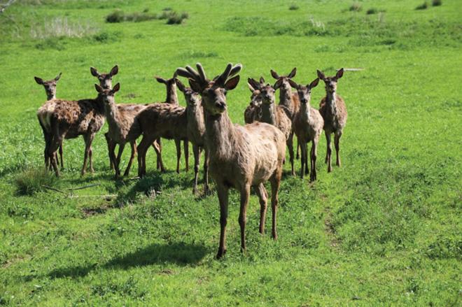 Gutshotel Odelzhausen