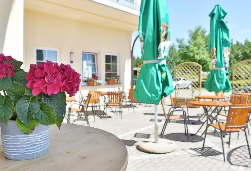 فندق Alznauer Hof