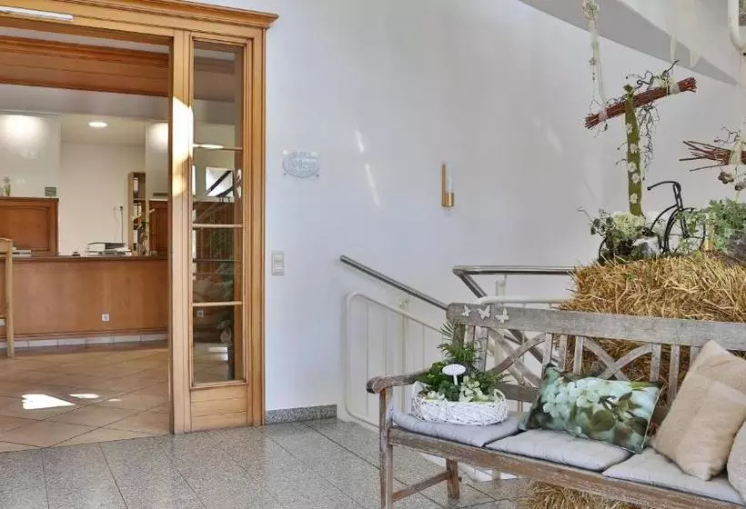 فندق Alznauer Hof