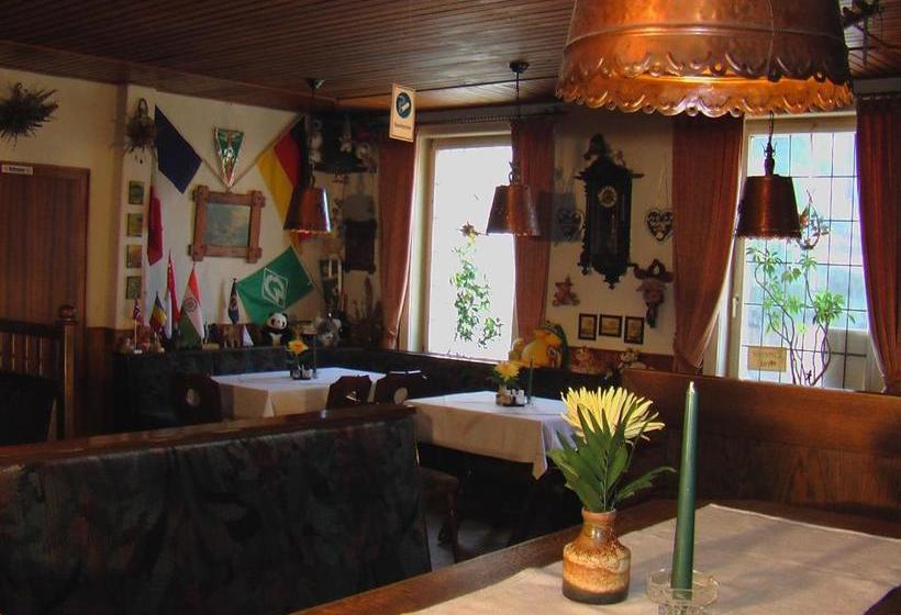 酒店 Goldener Engel