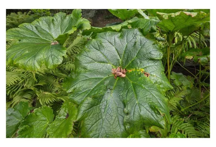 فندق Gradierwerk Sülze