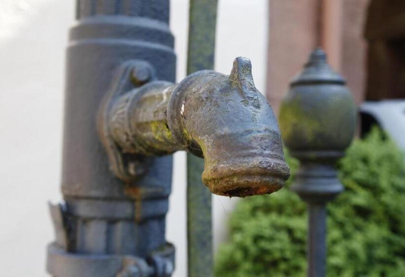 בית מלון כפרי Gut Hühnerhof