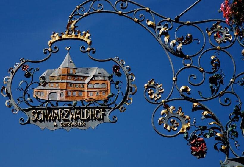 בית מלון כפרי Schwarzwaldhof
