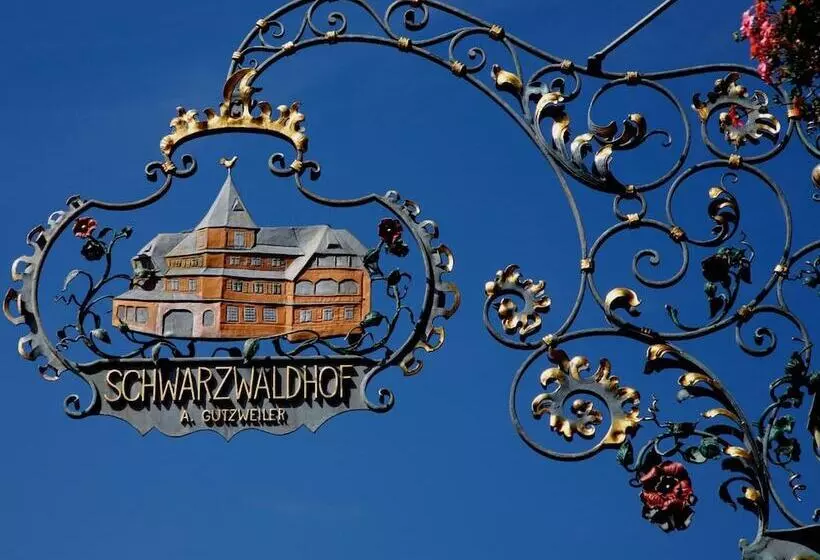 호텔 Schwarzwaldhof