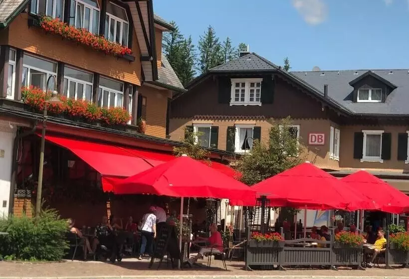 호텔 Schwarzwaldhof