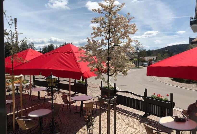 בית מלון כפרי Schwarzwaldhof